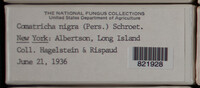 Image Associated With the Occurence